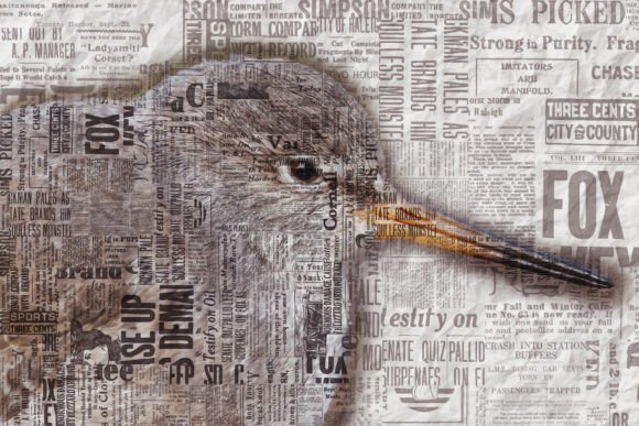 Collage of Birds Printable Graphic 15: Elevating Visual Communication Through Digital Art