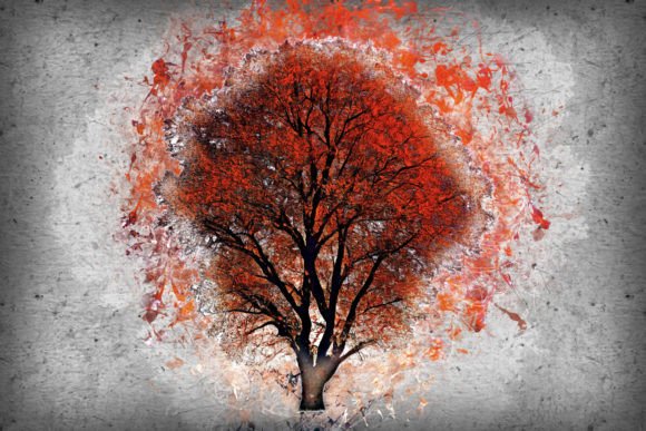 Transform Your Vision into Reality: The Power of High-Quality Printable Graphics