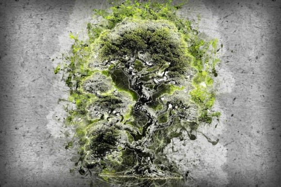Tree Printable Graphics 05: Elegant Art for Modern Spaces